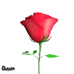 Hai già scelto il regalo perfetto? 🎁💓