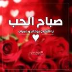 طبتم و طاب صباحبكم
بالرضا والخير
والبركات