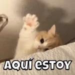 feliz CUMPLE! @lexa
