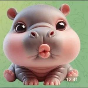 12:41 - getsticker.com