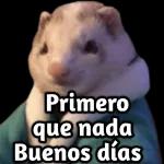 Stickers de gatos