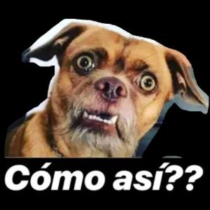 Él perro, ¿cómo así? - getsticker.com