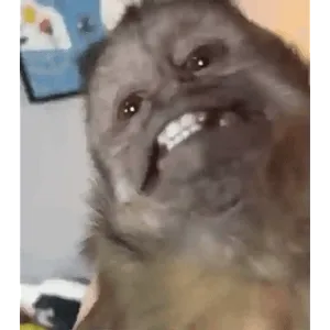 hBAUrQ