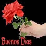 BUENOS DÍAS