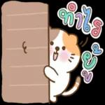 ฉันเองก็เริ่มคิดแล้วว่า ตัวเองไม่เหมาะสมกับใครเลย...