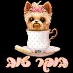 יום