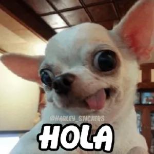 HOLA - getsticker.com