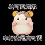 我太可愛了 - 但不讲道理