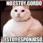 Te Prepare El Desayuno