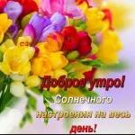 новые смайлики 😘🌞😊