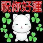 可愛白貓實用問候語貼圖