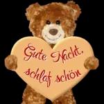 Gute Nacht bis Morgen💖