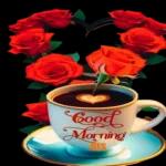 good morning!