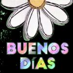 YO OPINO QUE LE BOMBARDIEMOS EL CULO
