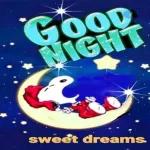 Good night, sweet dream