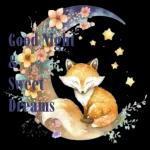 good night dear friend