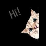 Jy is 'n Konings Kind