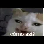 chistoso