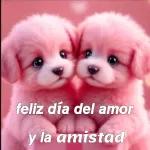 ¡Feliz Dia de San Valentin!
