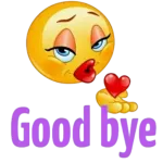 Goodbye