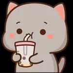 Mochi Peach Cat 2
                    
Mochi Peach Cat