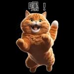 可愛的橘色肥貓!