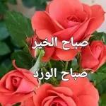 صباح الورد
