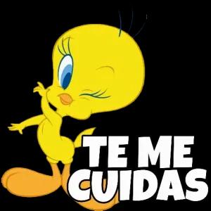 TE ME CUIDAS - getsticker.com