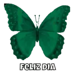 mayca