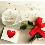 Hope you have a happy Valentine's Day!