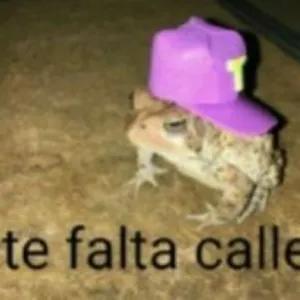 te falta calle - getsticker.com