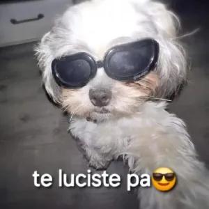 wuwn1u