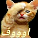 الله يسلمك
ما العلا ما
لك
مهم
الوداد