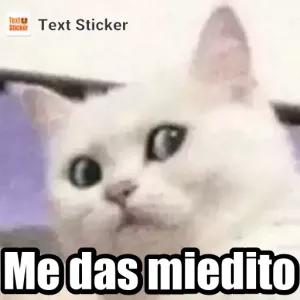 e0lk37