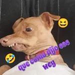 que diji