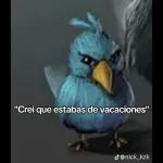 MEME CHAMBEAR