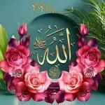 أكرمك الله BAZAAR T
