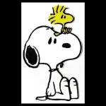 snoopy ☆