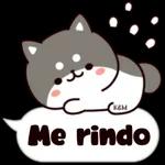 ¡Me rindo!