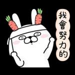 Rabbit100% 有禮貌貼圖