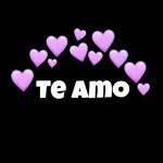 TE AMO