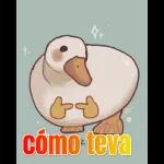MUCHAS GRACIAS