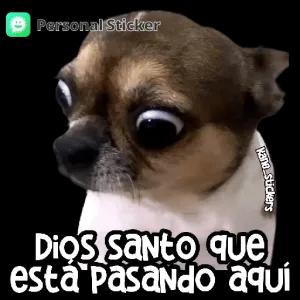 vjCvVI