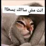 انت مش ساالك يسطاا