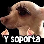 los ardidos no hablan