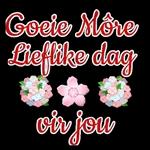 Goeie Nag.