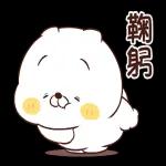 猫咪朋友笑一个