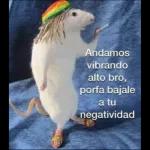 Ni bien ni mal solo existiendo