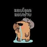 แอบเอ็ด แอบฟาย