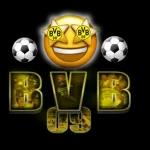 NUR DER BVB 